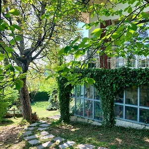 Villa Chicco Di Oliva